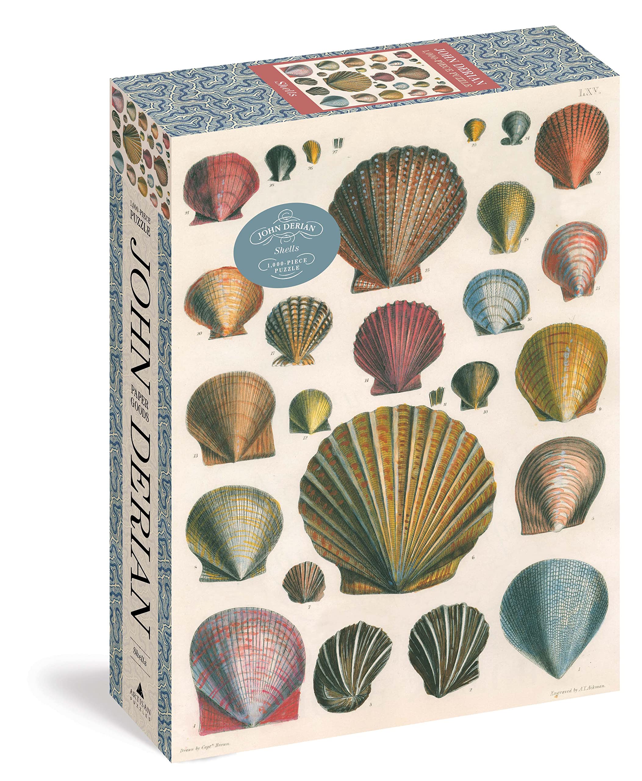 John Derian Paper Goods: Shells 1,000Piece Puzzle