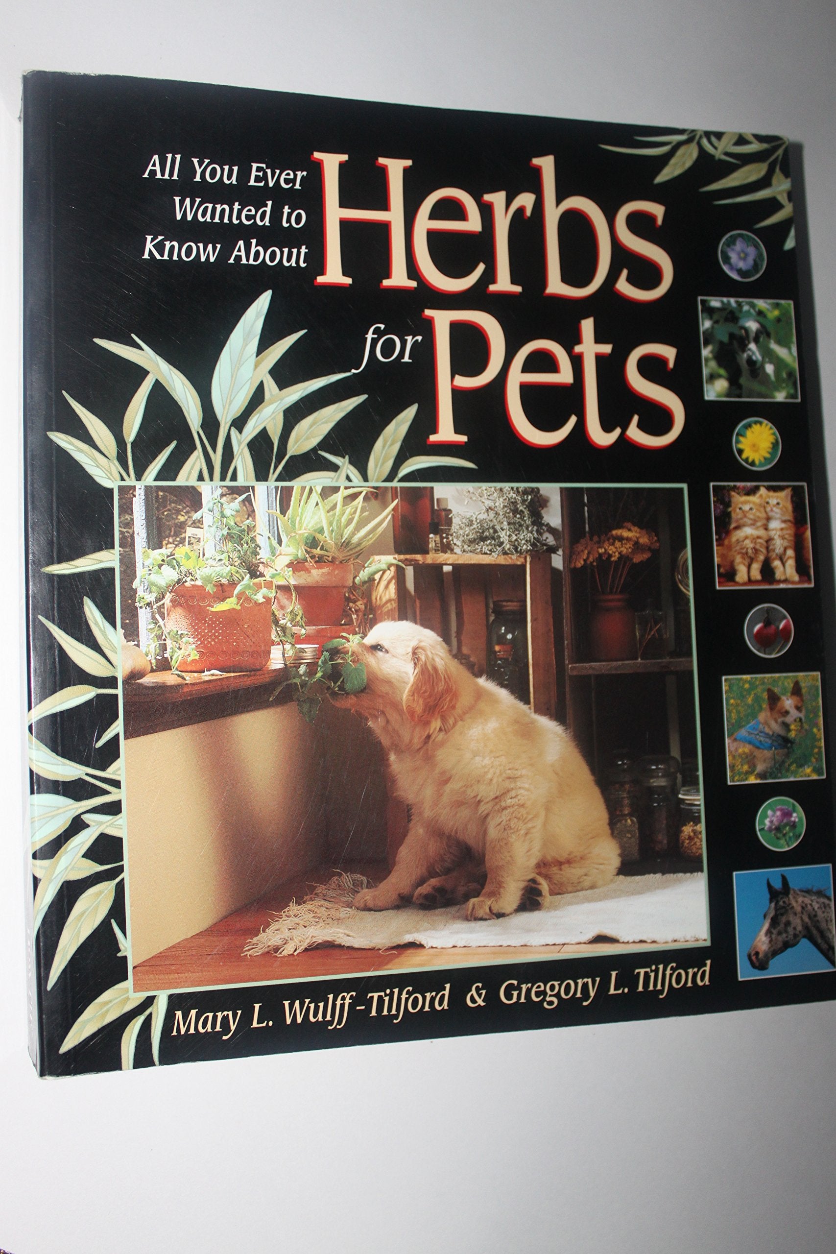 Herbs for Pets,Used