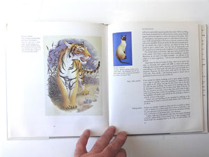 Painting for Calligraphers,New