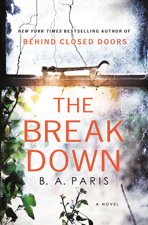 The Breakdown: A Novel,Used