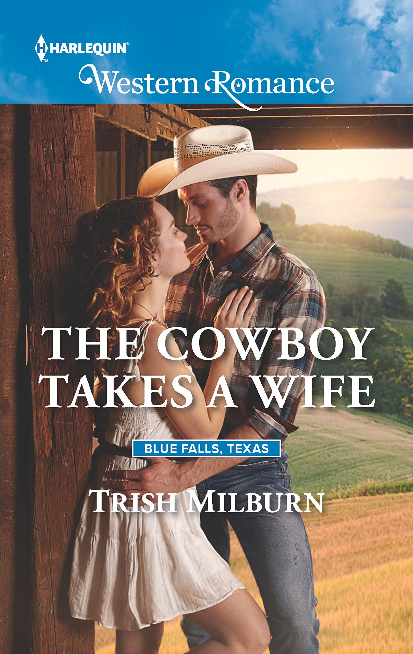 The Cowboy Takes a Wife (Blue Falls, Texas, 9),Used