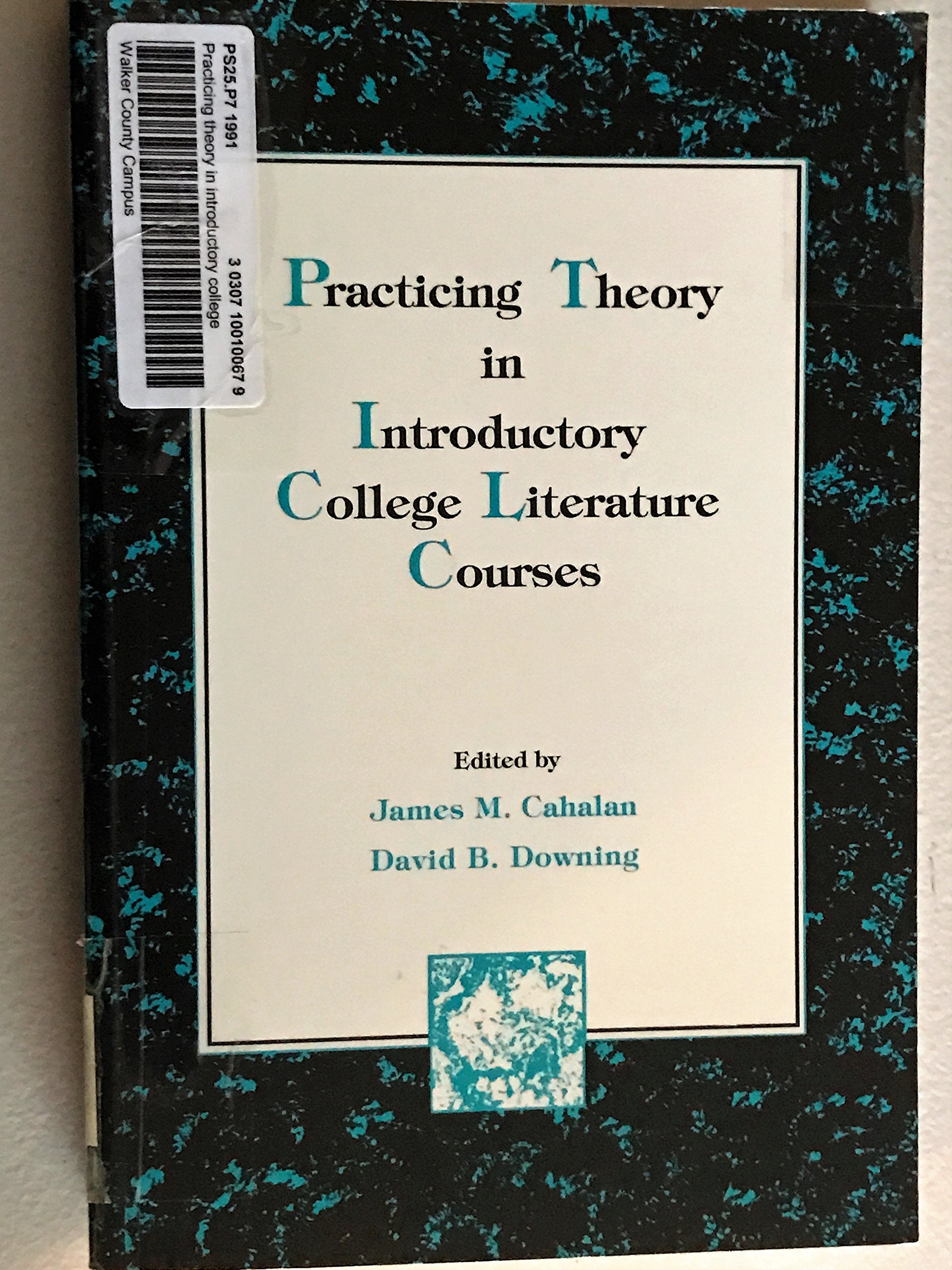 Practicing Theory in Introductory College Literature Courses,New