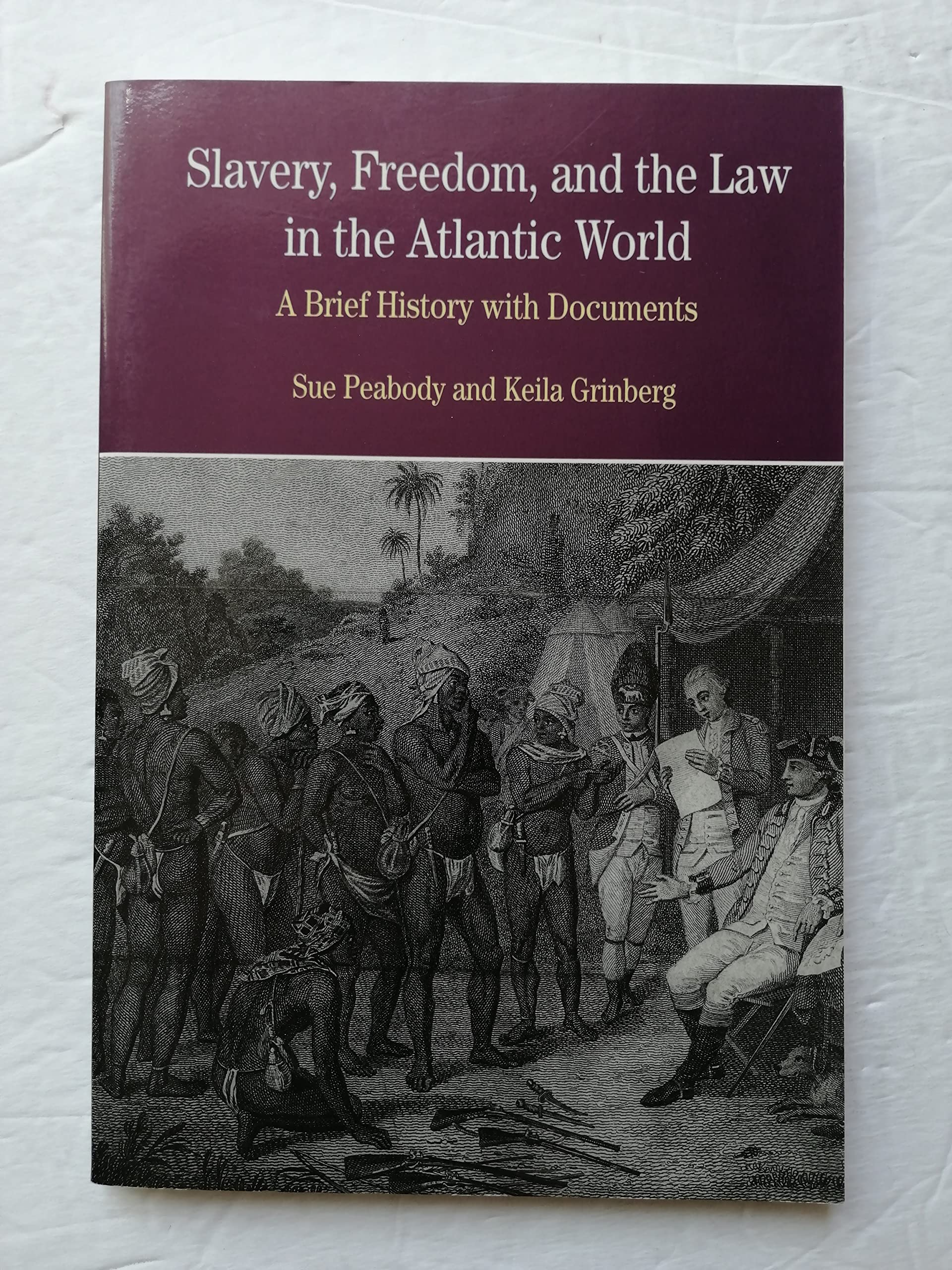 Slavery, Freedom, and the Law in the Atlantic World: A Brief History with Documents (The Bedford Series in History and Culture),New