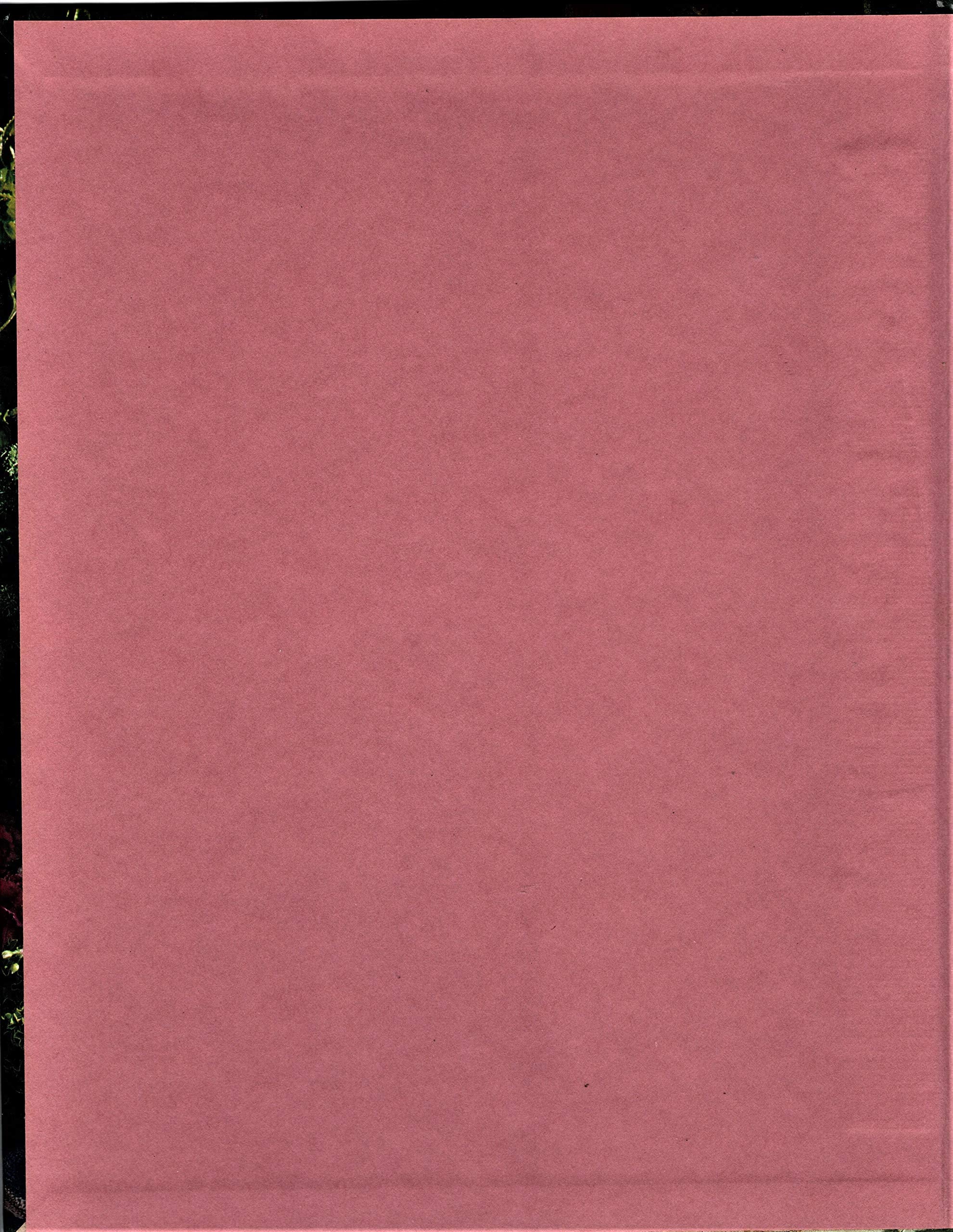 Country Afghans (VanessaAnn Collection),Used