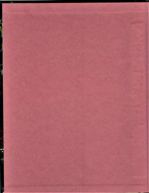 Country Afghans (VanessaAnn Collection),Used