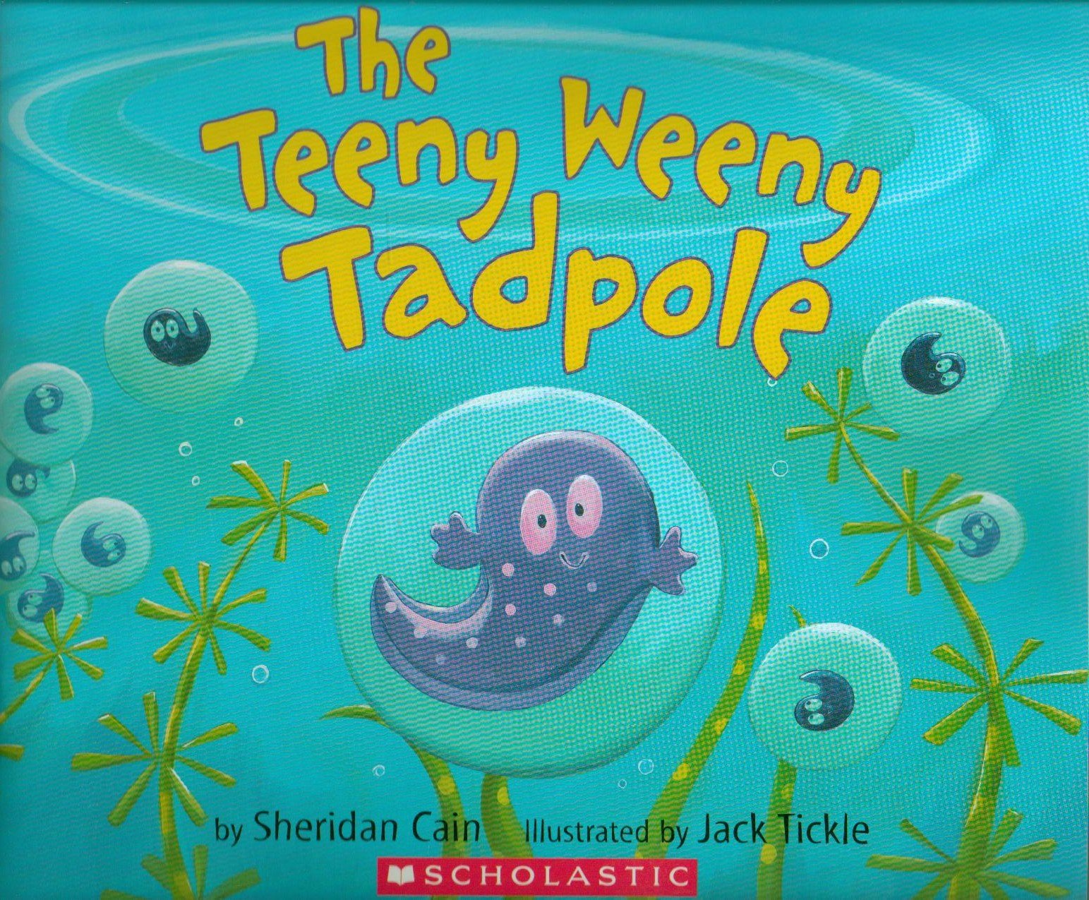 The Teeny Weeny Tadpole