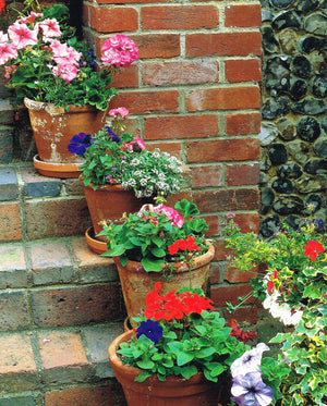 The Potted Garden (Australian Women's Weekly),Used