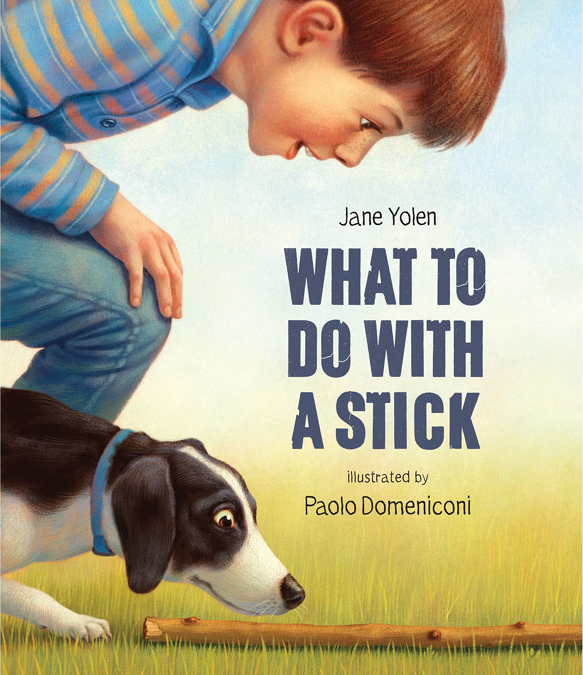 What To Do With A Stick,Used