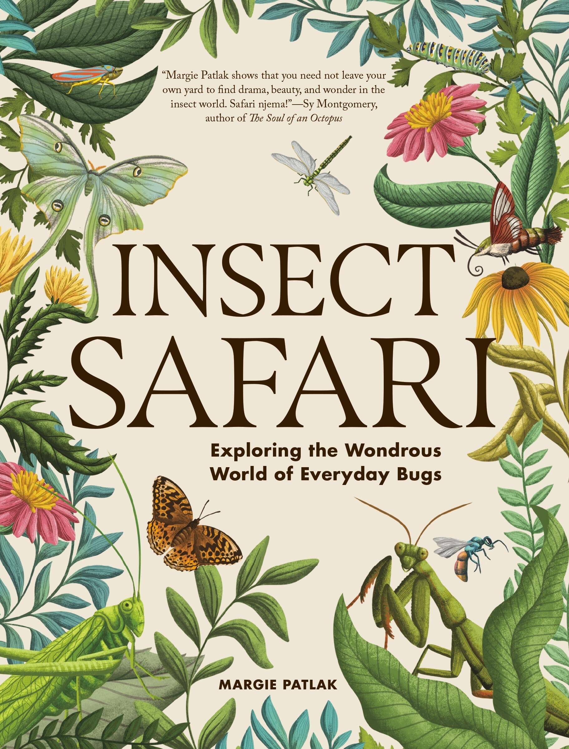Insect Safari: Exploring The Wondrous World Of Everyday Bugs