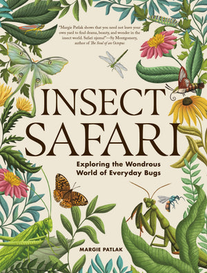 Insect Safari: Exploring The Wondrous World Of Everyday Bugs