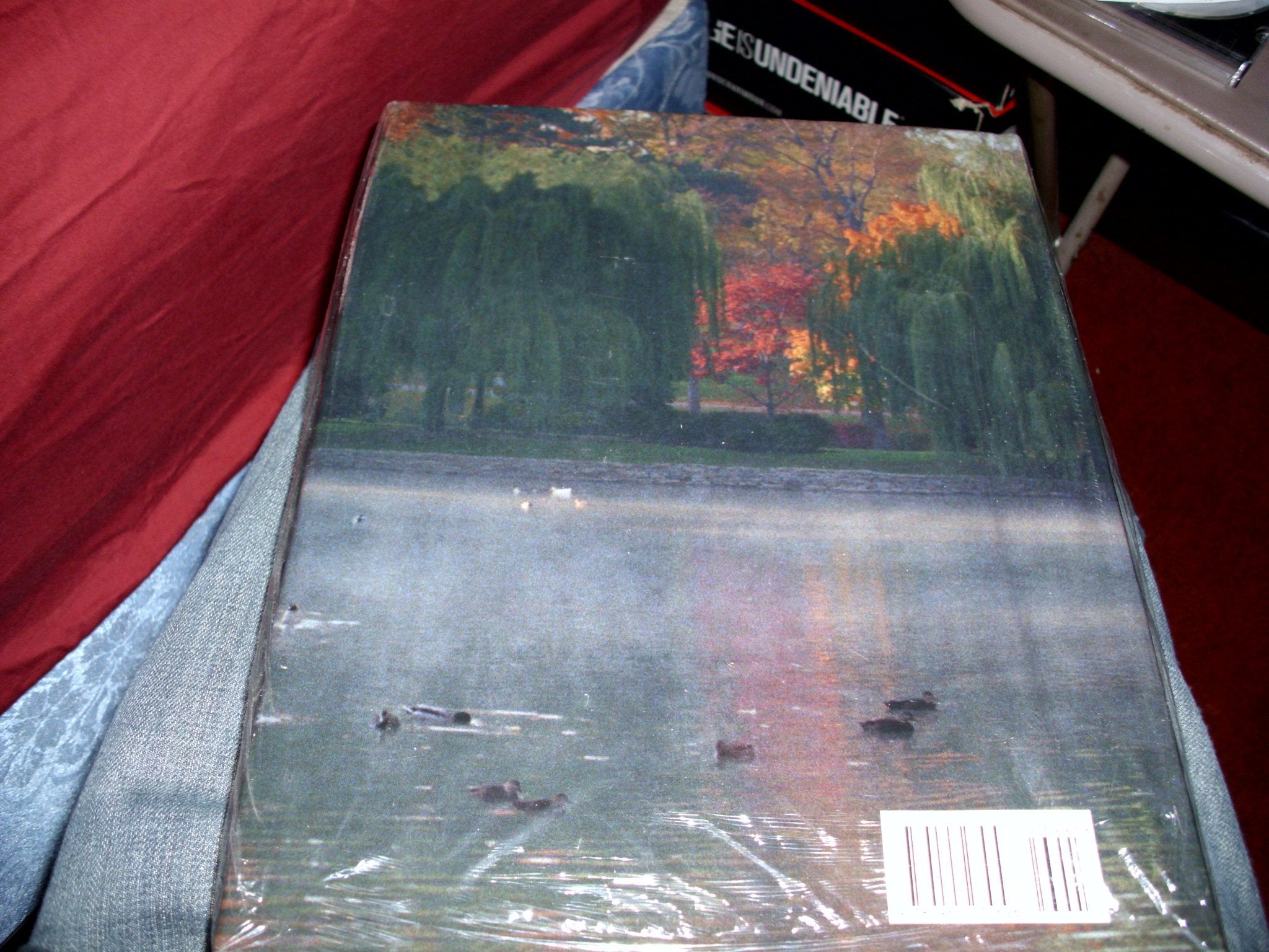 FOREST LAWN CEMETERY : Buffalo History Preserved,New