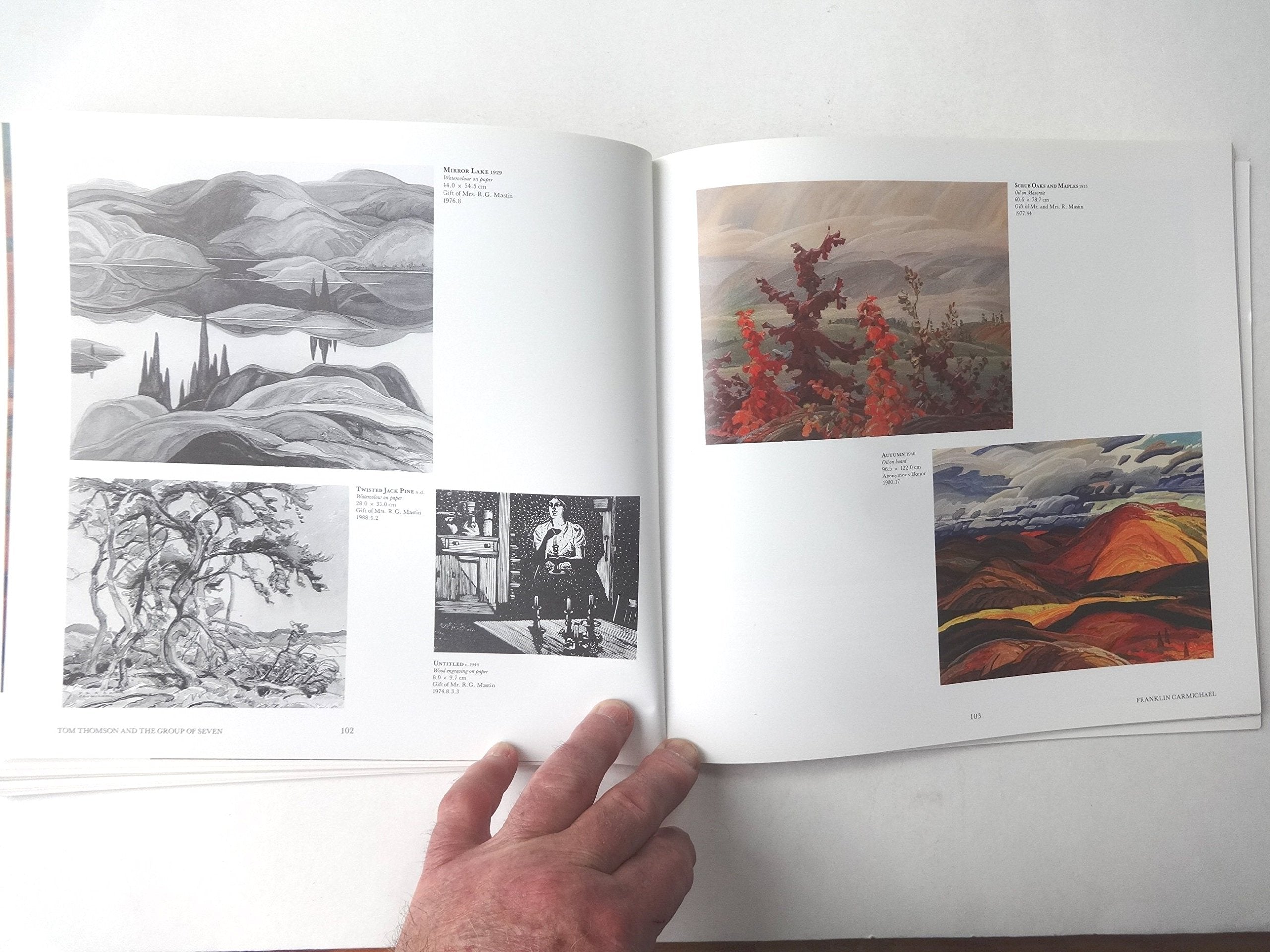 The McMichael Canadian Art Collection,Used
