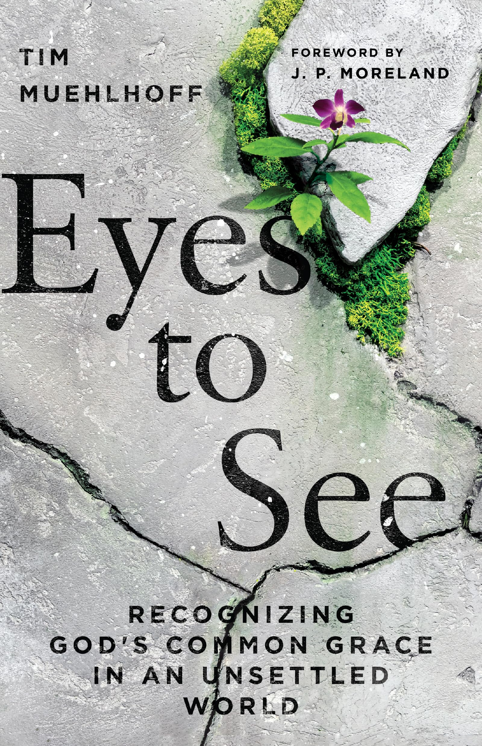 Eyes To See: Recognizing God'S Common Grace In An Unsettled World,New
