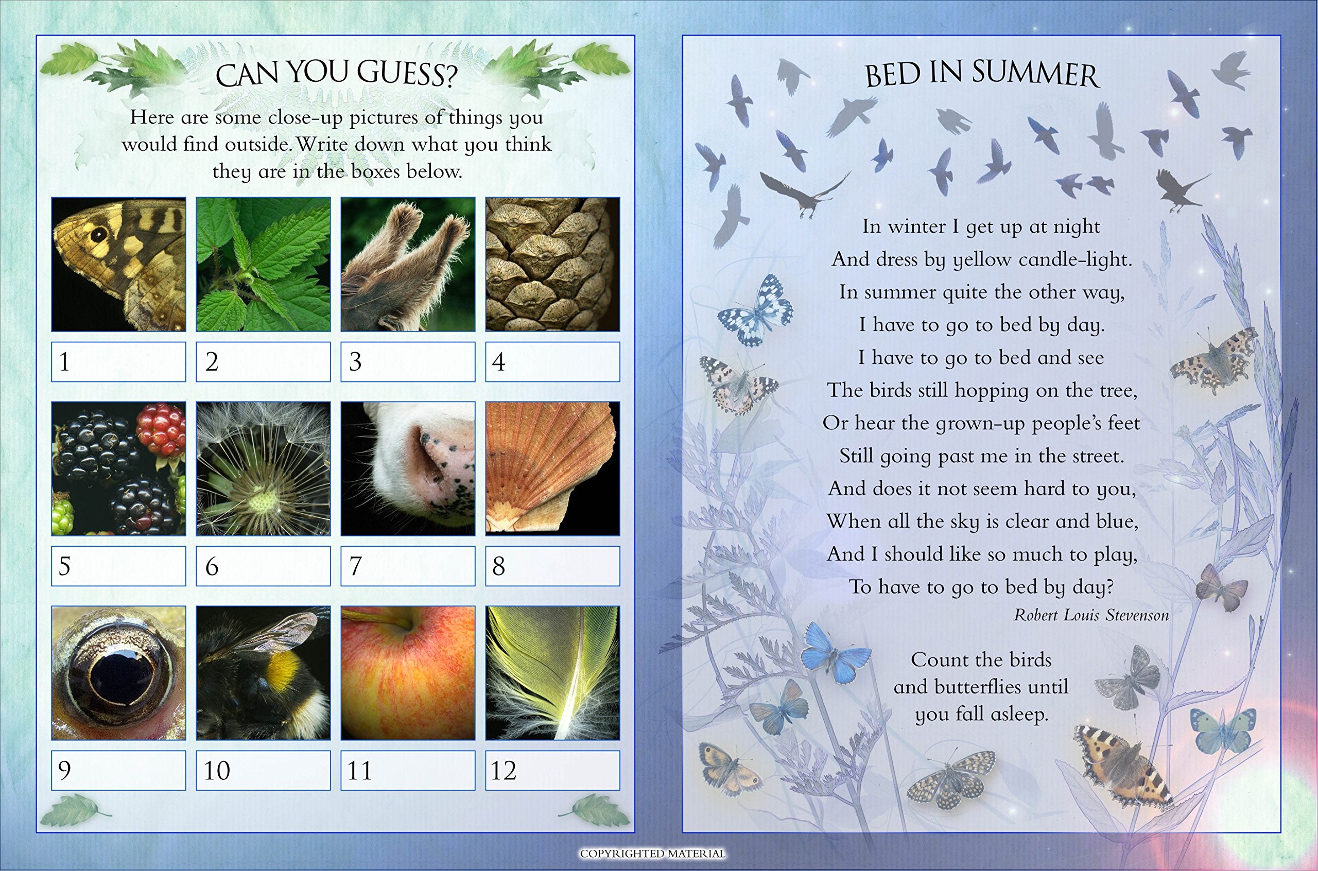 Get Out: Nature Activity Book,Used