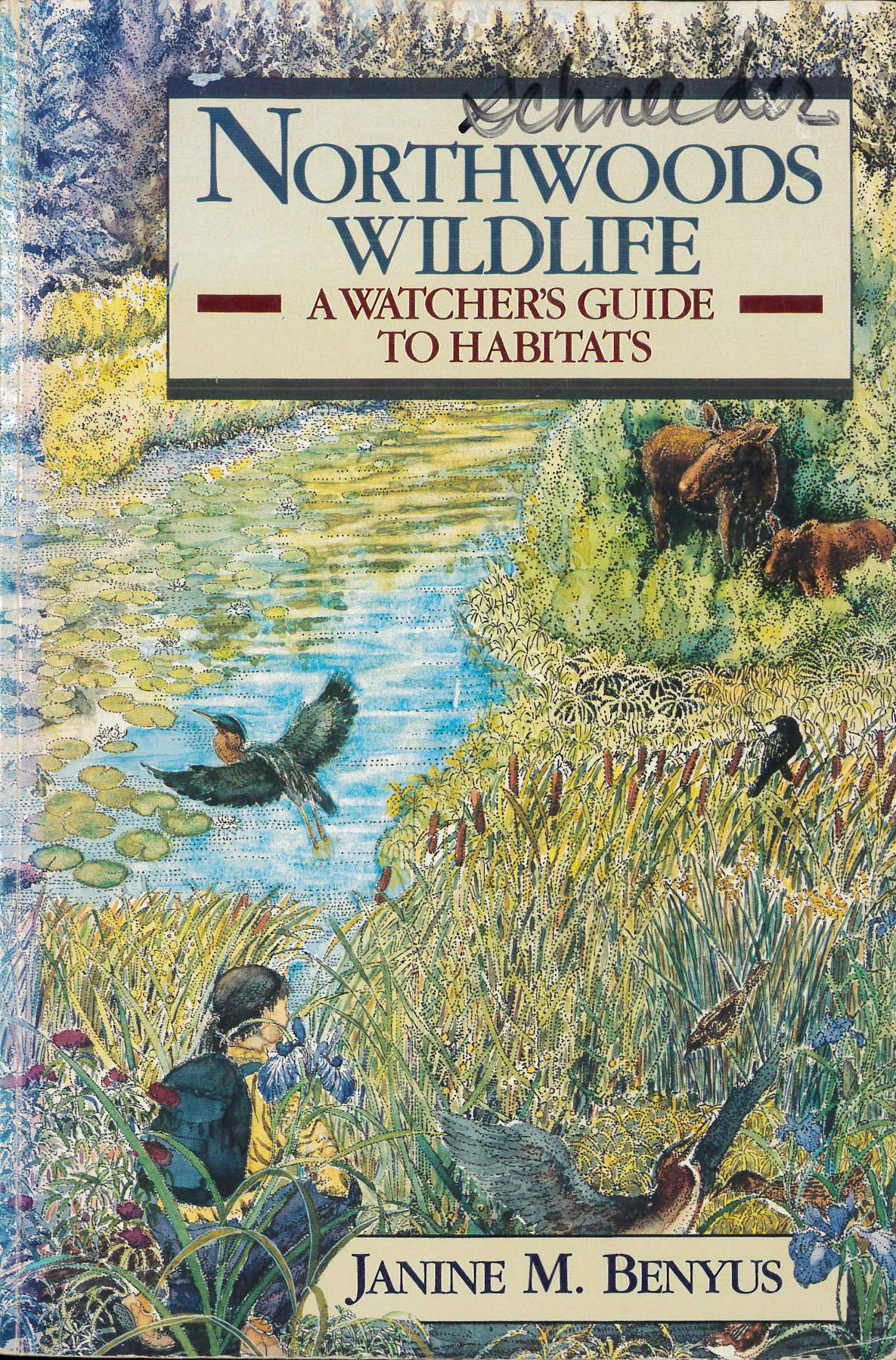 Northwoods Wildlife: A Watcher's Guide to Habitats,Used
