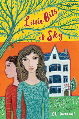 Little Bits of Sky,Used