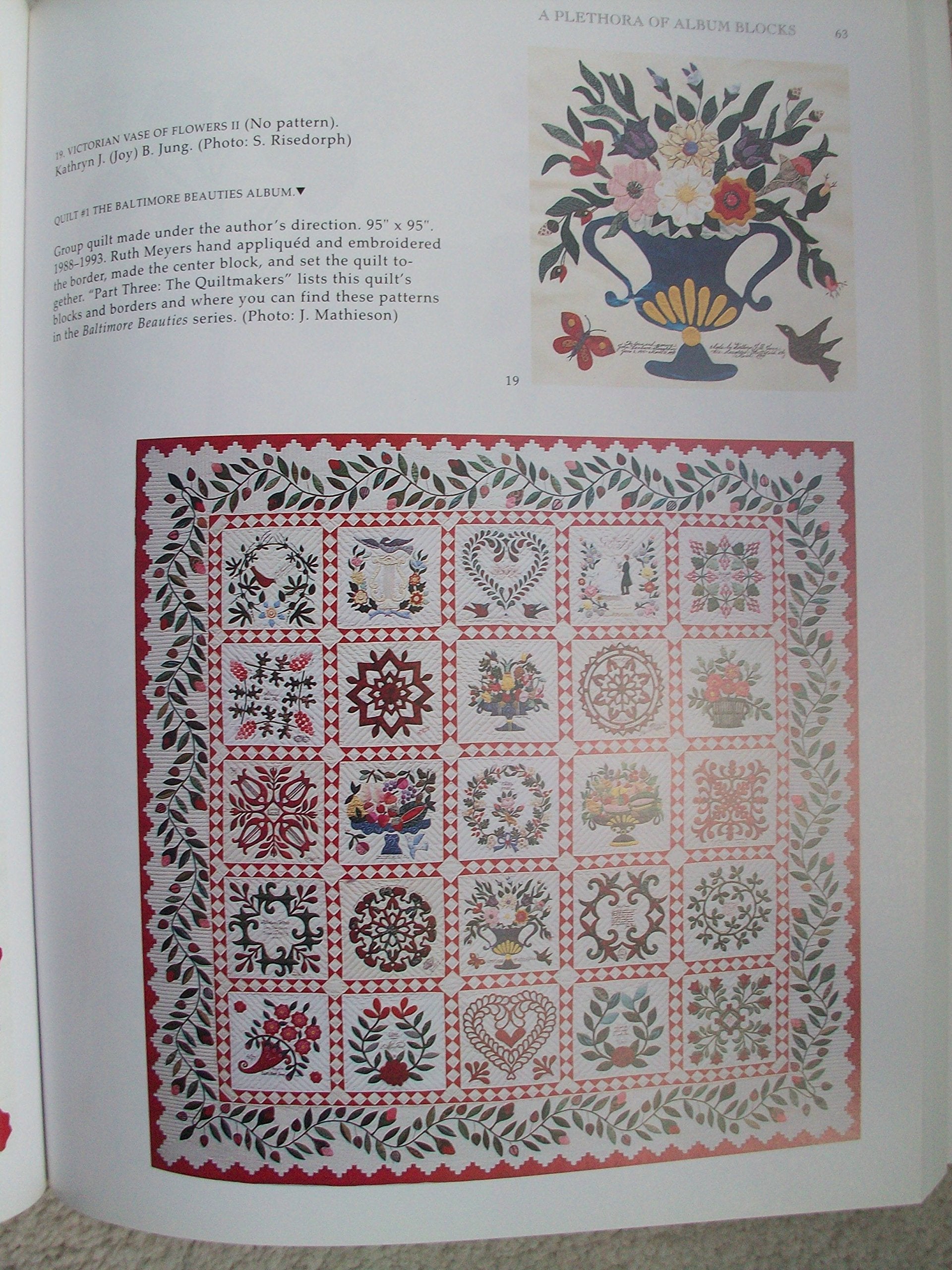 Papercuts and Plenty (Baltimore Beauties and Beyond: Studies in Classic Album Quilt Applique, Vol. 3),New