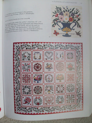 Papercuts and Plenty (Baltimore Beauties and Beyond: Studies in Classic Album Quilt Applique, Vol. 3),New