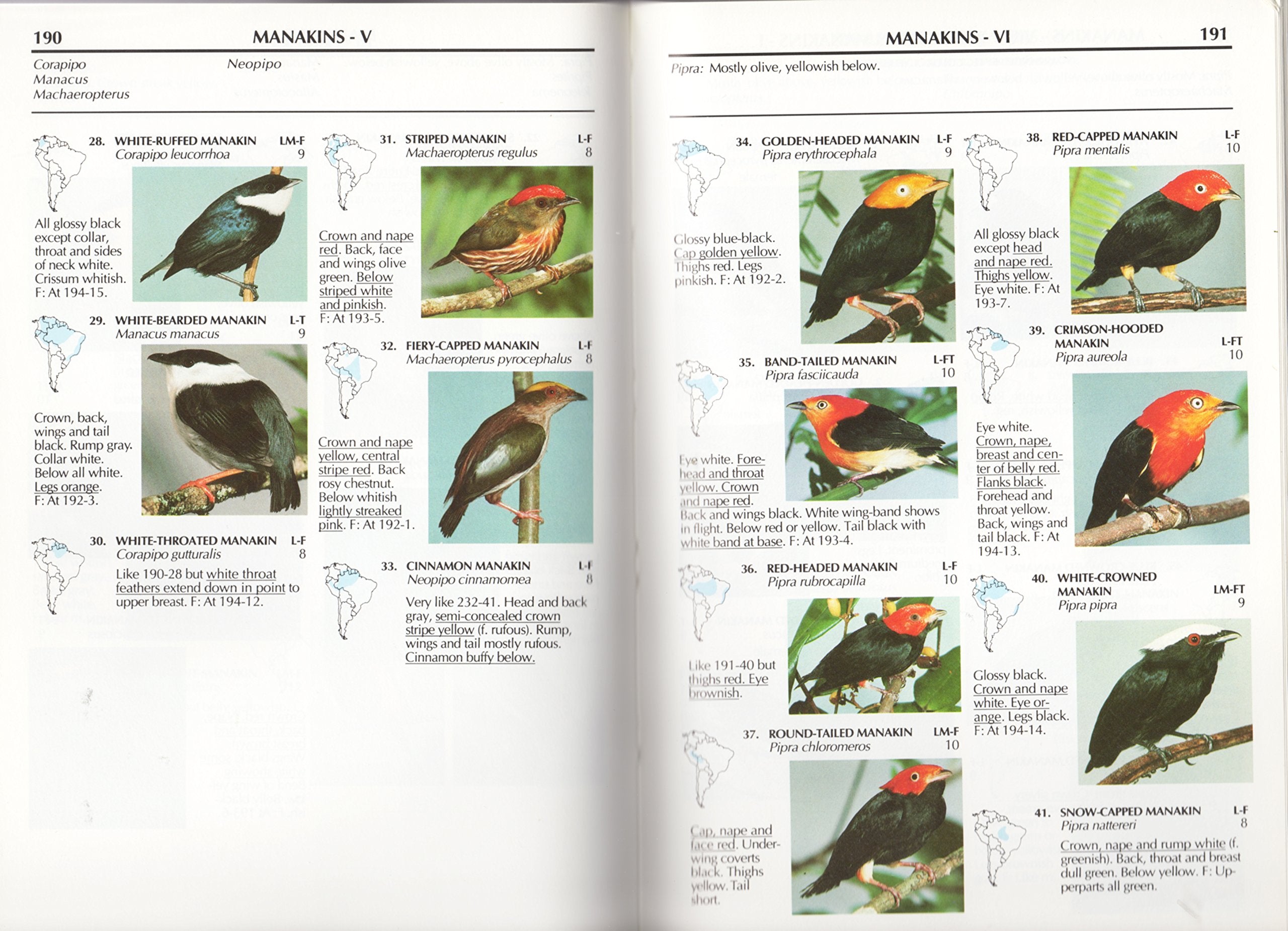 South American Birds: A Photographic Aid to Identification,Used