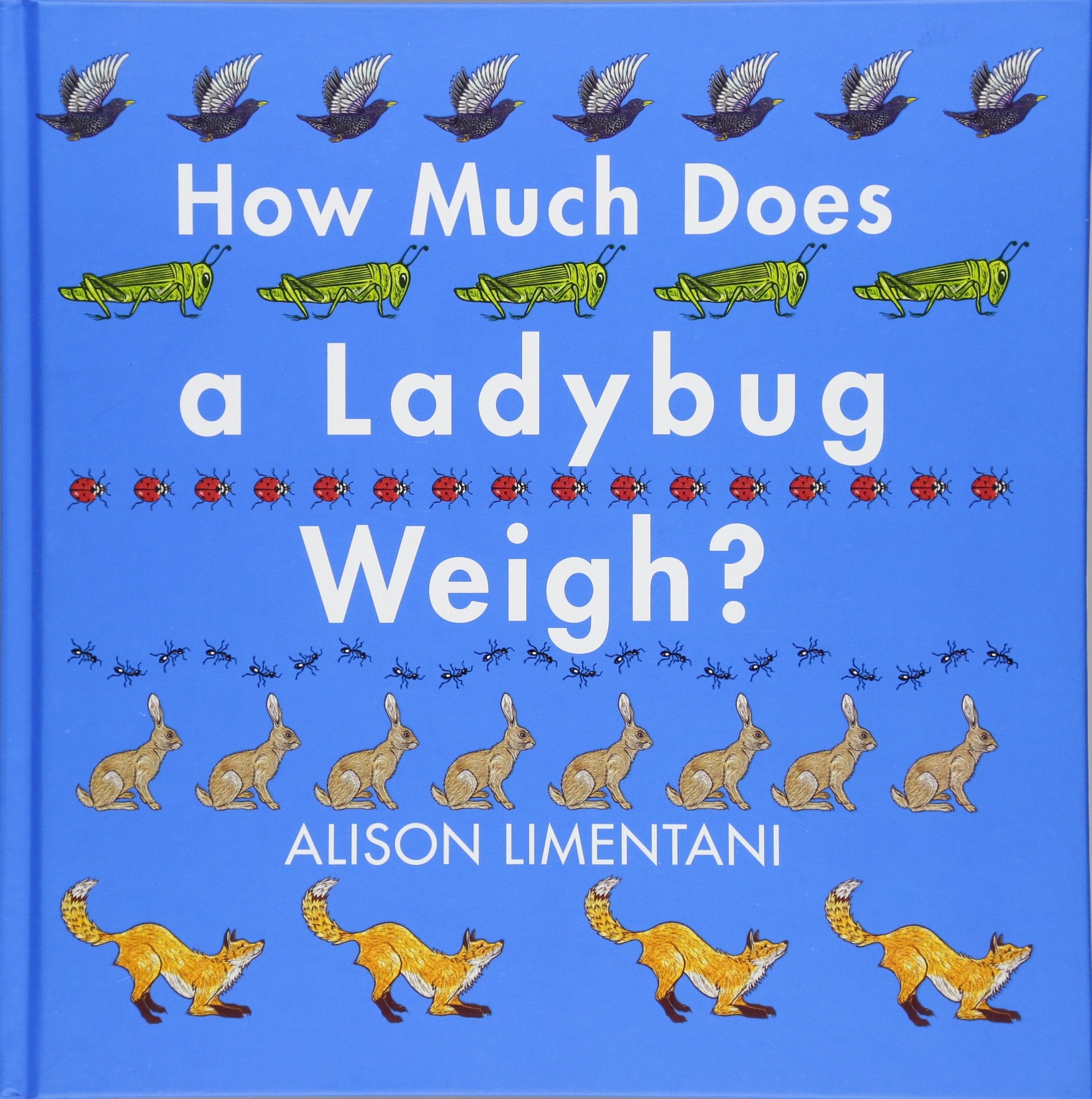 How Much Does A Ladybug Weigh? (Wild Facts & Amazing Math)