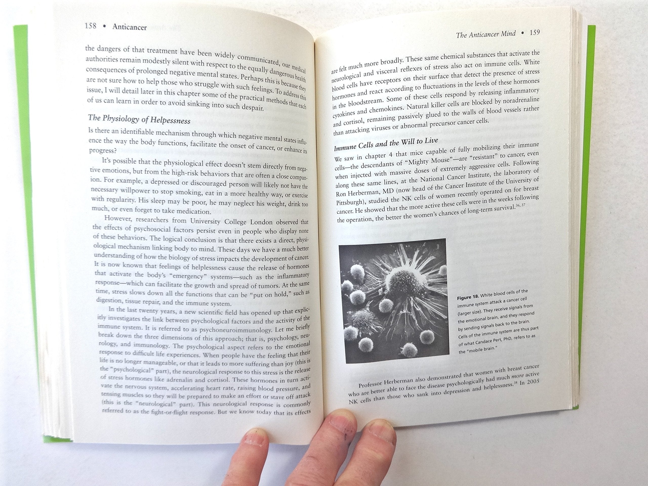 Cuentos (El Libro de bolsillo : Seccio? literatura ; 7) (Spanish Edition),Used