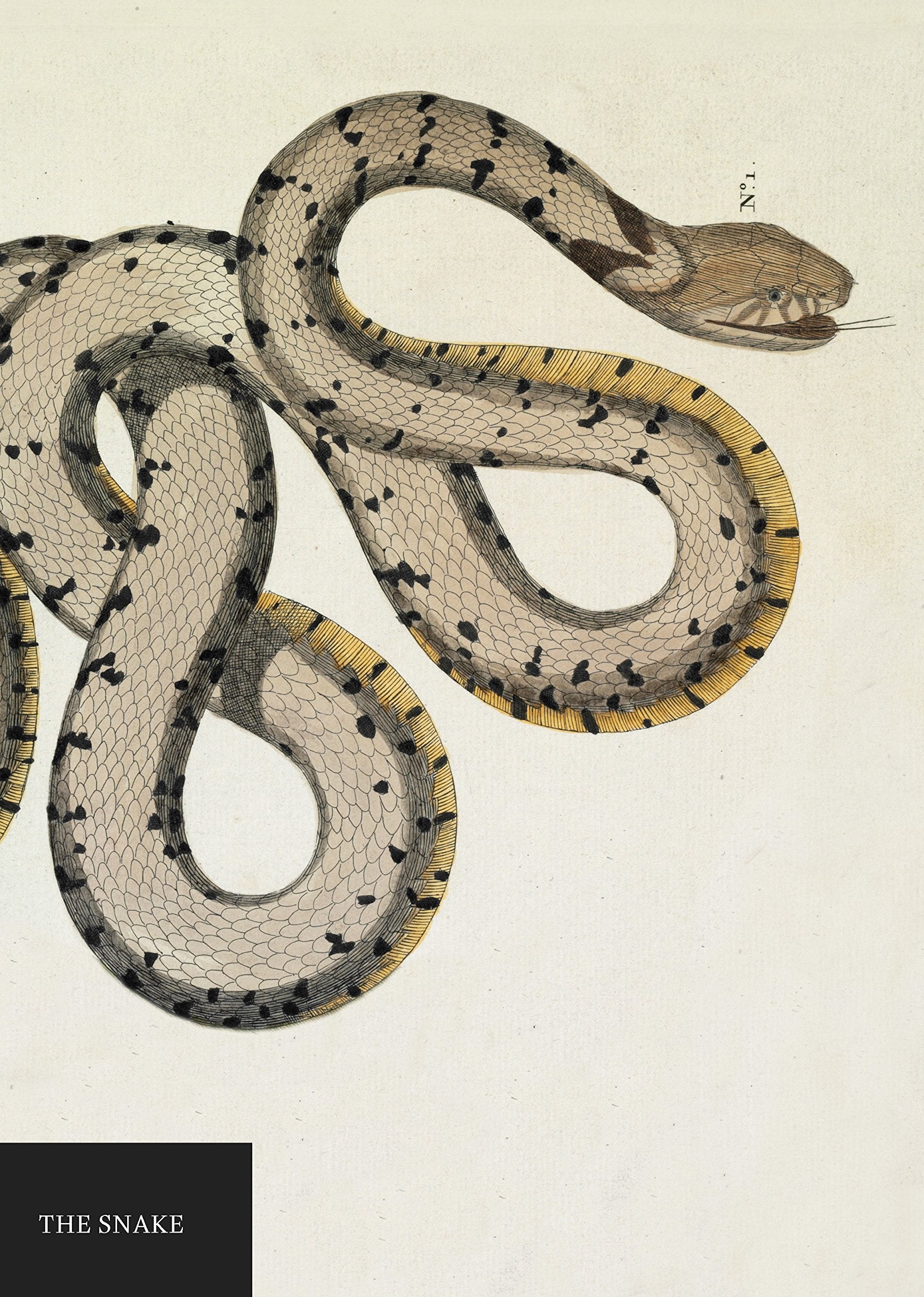 Natural History Museum Snake Notebook