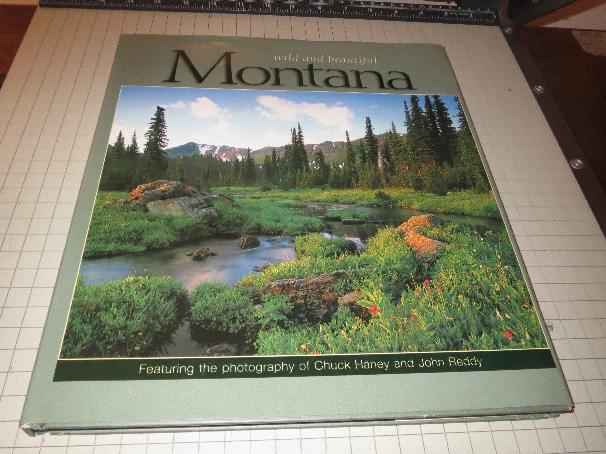 Montana Wild & Beautiful,Used