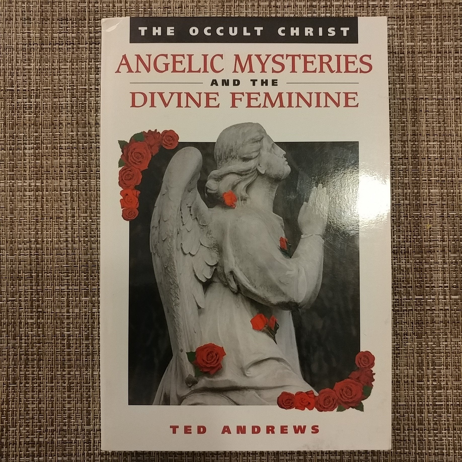 The Occult Christ: Angelic Mysteries, Seasonal Rituals, The Divine Feminine,Used