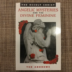 The Occult Christ: Angelic Mysteries, Seasonal Rituals, The Divine Feminine,Used