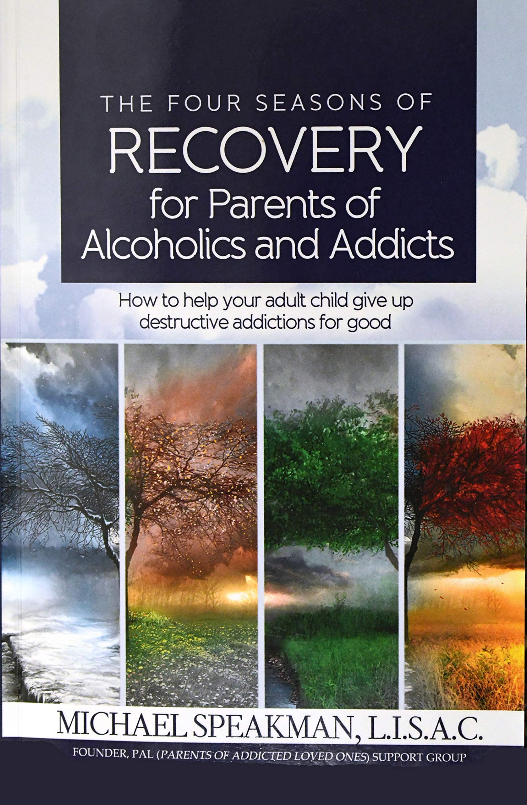 The Four Seasons Of Recovery For Parents Of Alcoholics And Addicts
