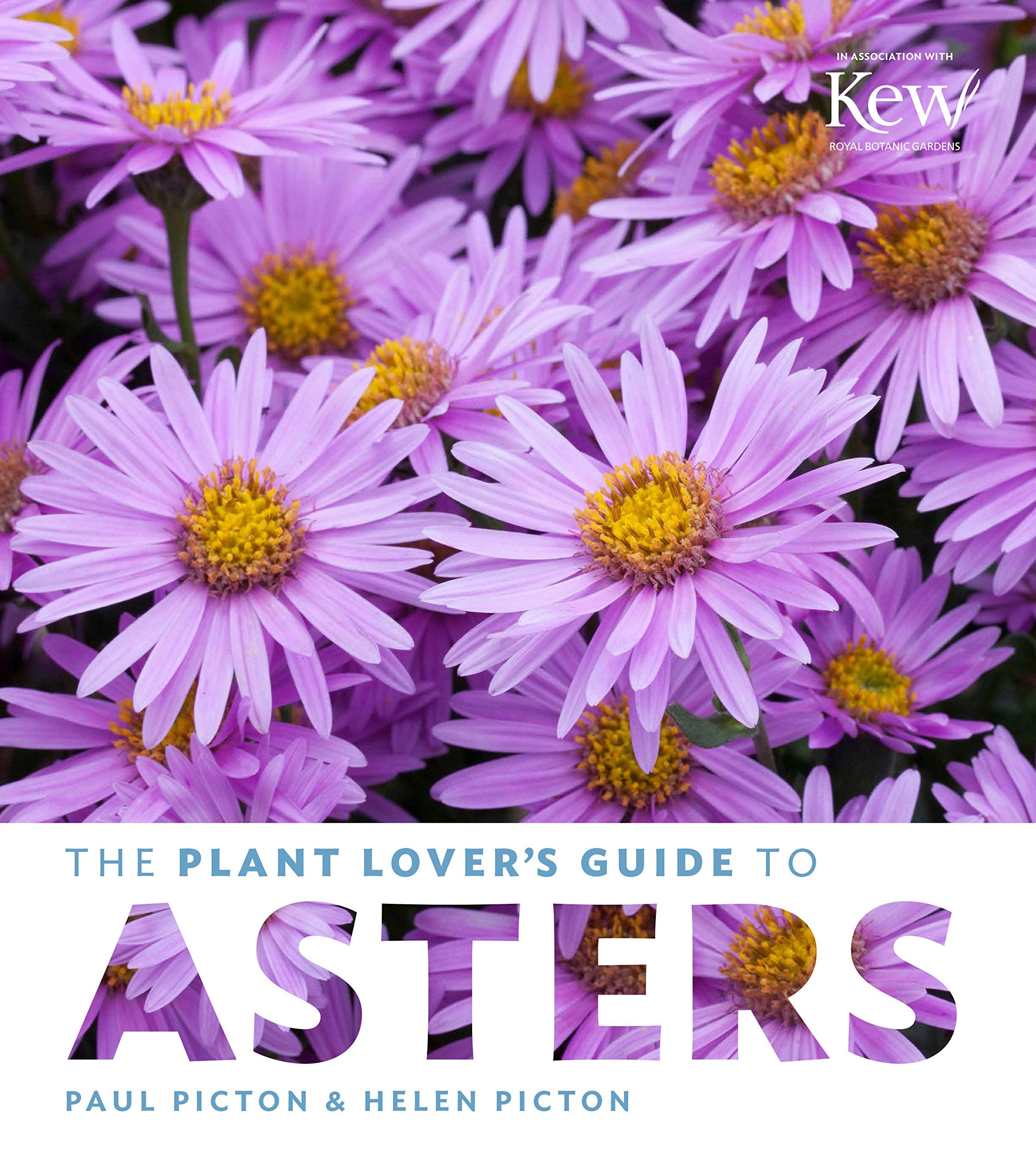 The Plant Lover'S Guide To Asters (The Plant Lovers Guides)