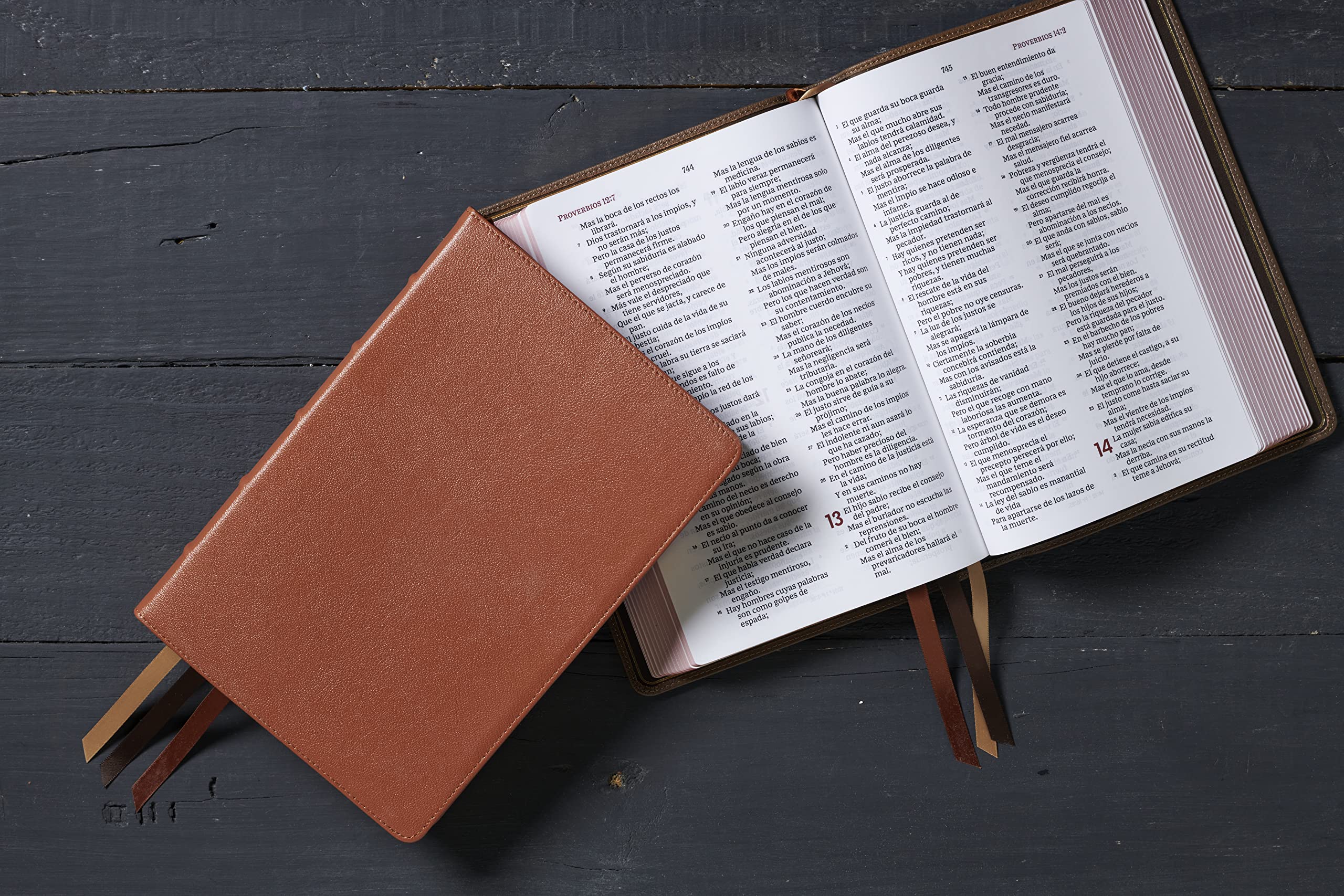 Reina Valera 1960 Biblia Letra Gigante, Coleccin Premier, Caramelo, Interior a dos colores: Edicin Limitada (Spanish Edition,Used