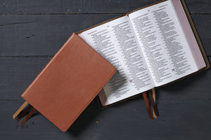 Reina Valera 1960 Biblia Letra Gigante, Coleccin Premier, Caramelo, Interior a dos colores: Edicin Limitada (Spanish Edition,Used