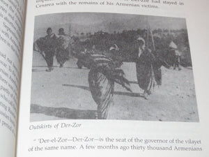 The Turks before the court of history,Used