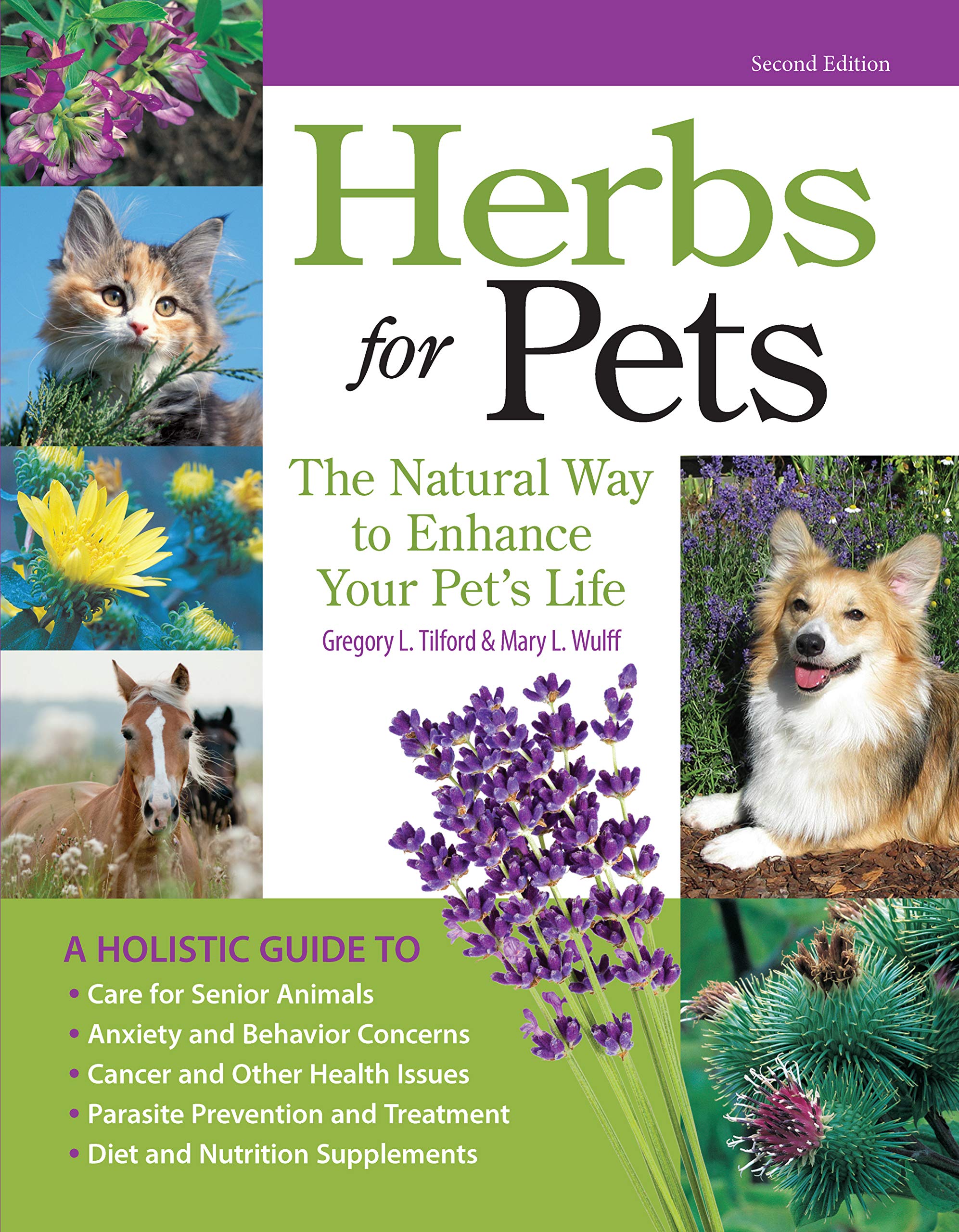 Herbs For Pets: The Natural Way To Enhance Your Pet'S Life (Companionhouse Books) Az Guide To Medicinal Plants, Holistic Recipe