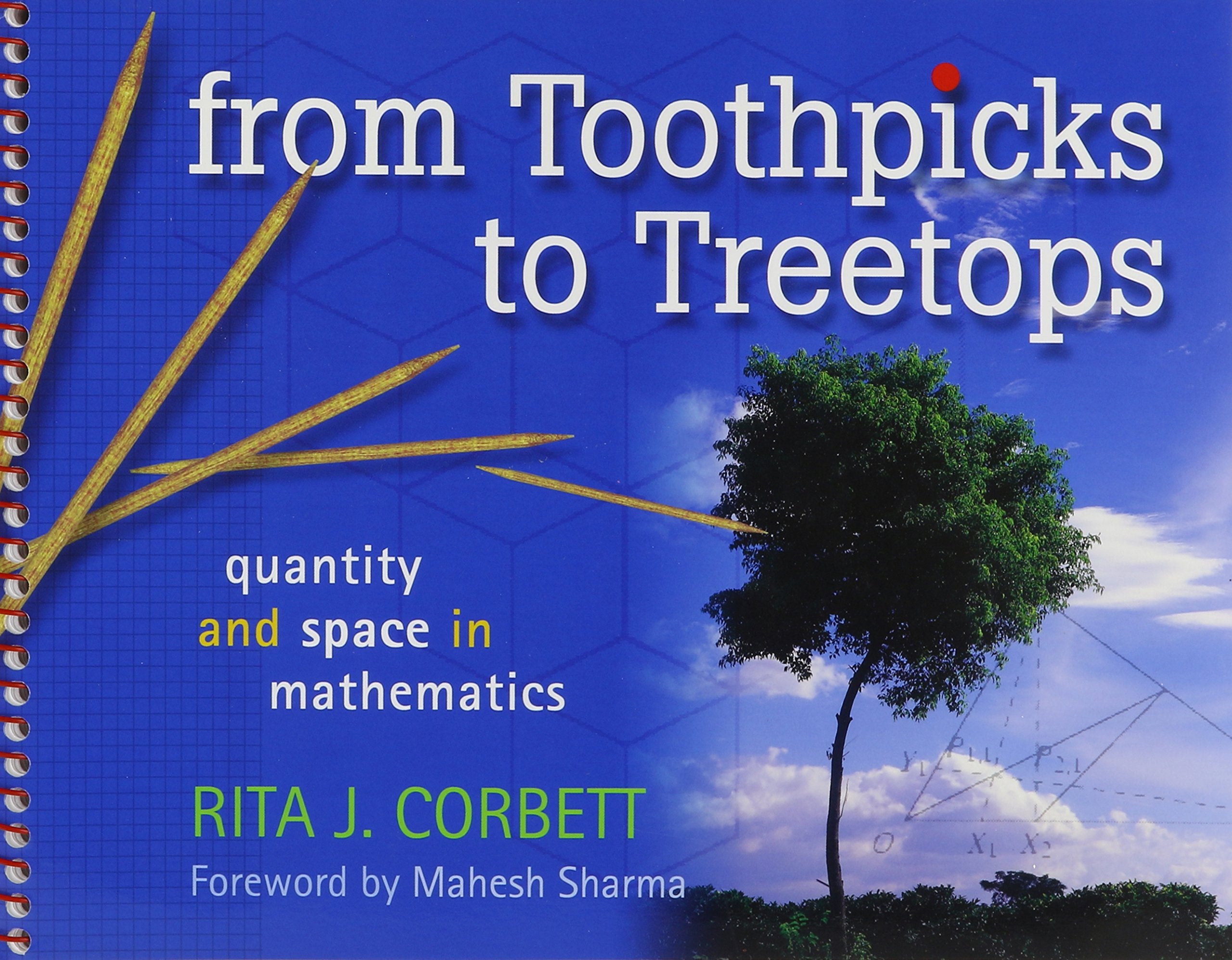 From Toothpicks to Treetops: Quantity and Space in Mathematics,Used