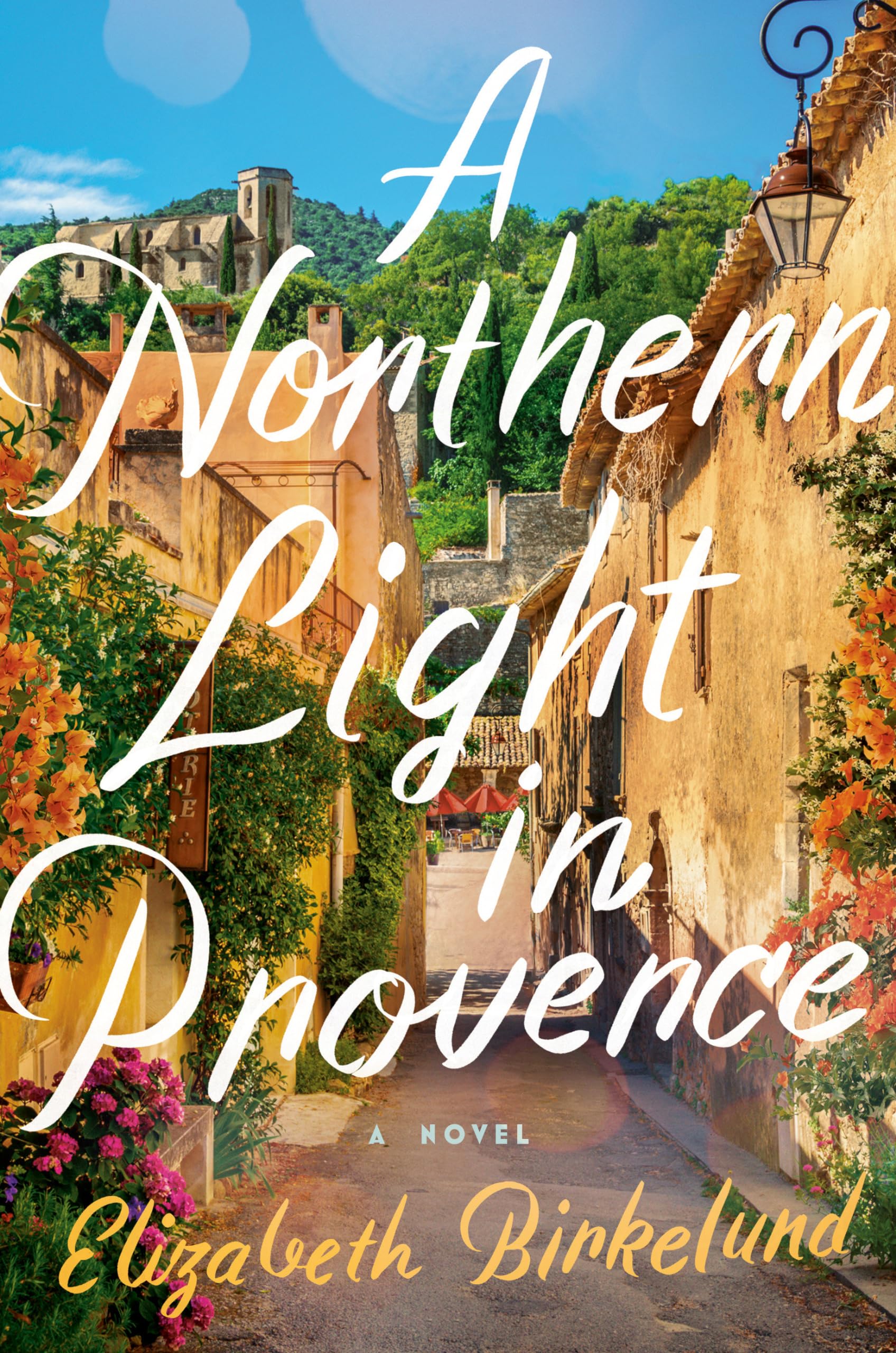 A Northern Light In Provence: A Novel,Used