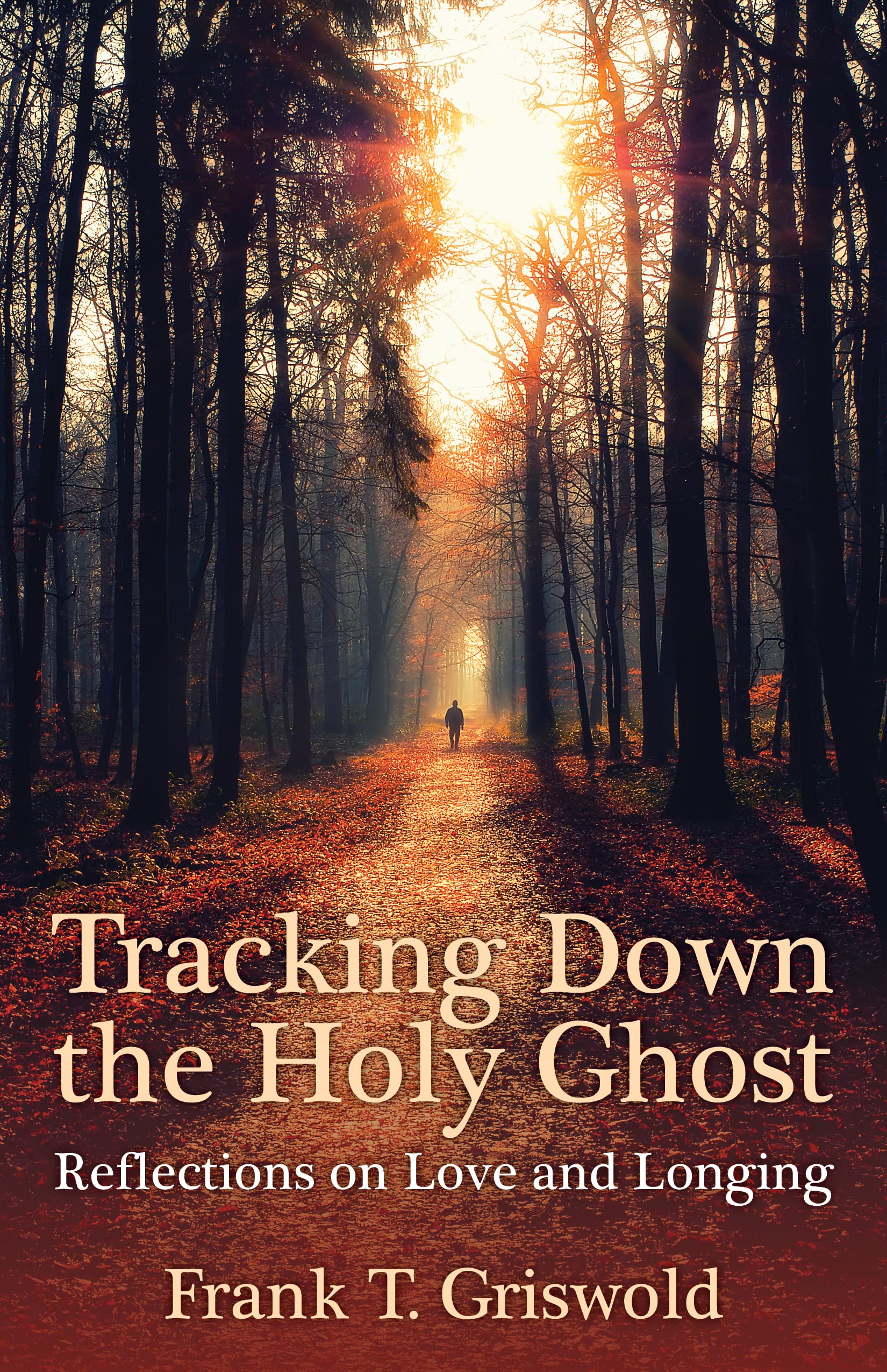 Tracking Down The Holy Ghost: Reflections On Love And Longing,Used