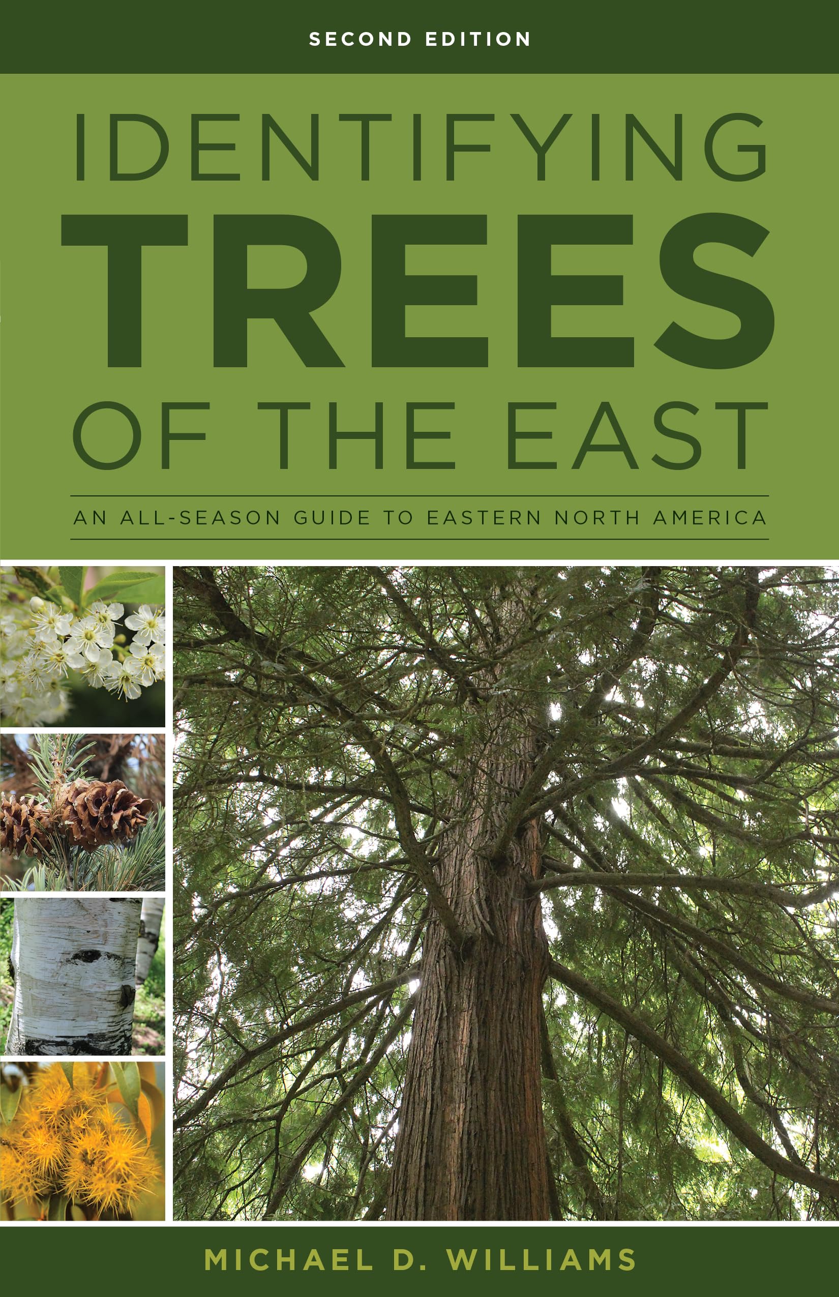 Identifying Trees of the East: An AllSeason Guide to Eastern North America,New