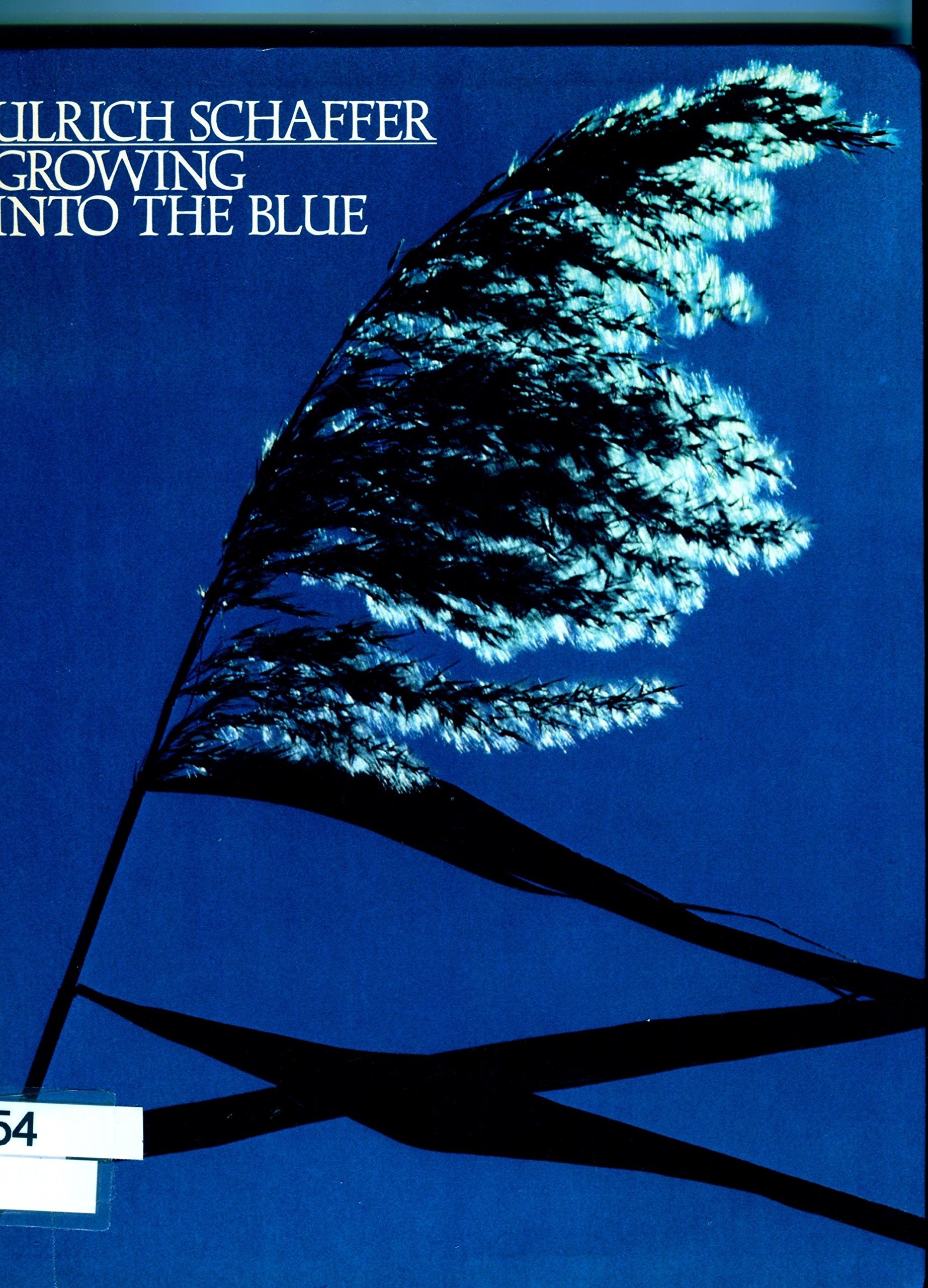 Growing Into The Blue,Used