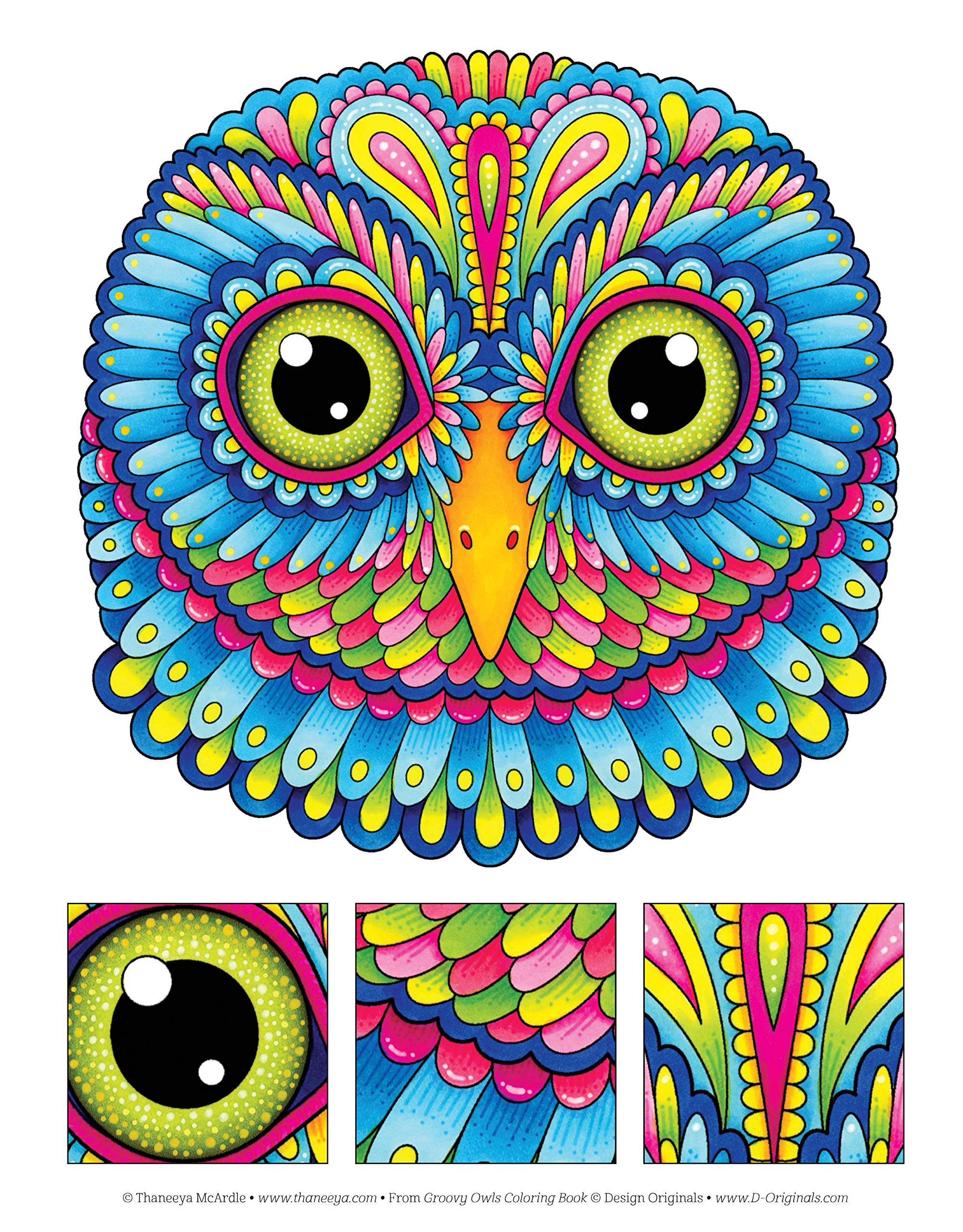Groovy Owls Coloring Book (Coloring Is Fun) (Design Originals) 32 Adorable Art Activities With Quiet, Stoic, Wise, And Happy Owl