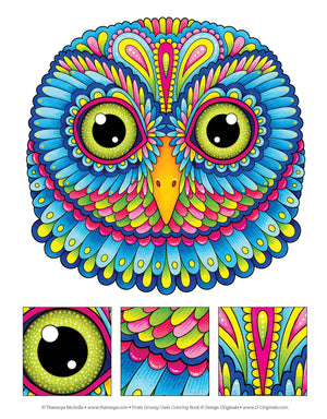 Groovy Owls Coloring Book (Coloring Is Fun) (Design Originals) 32 Adorable Art Activities With Quiet, Stoic, Wise, And Happy Owl
