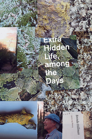 Extra Hidden Life, Among The Days (Wesleyan Poetry Series),Used