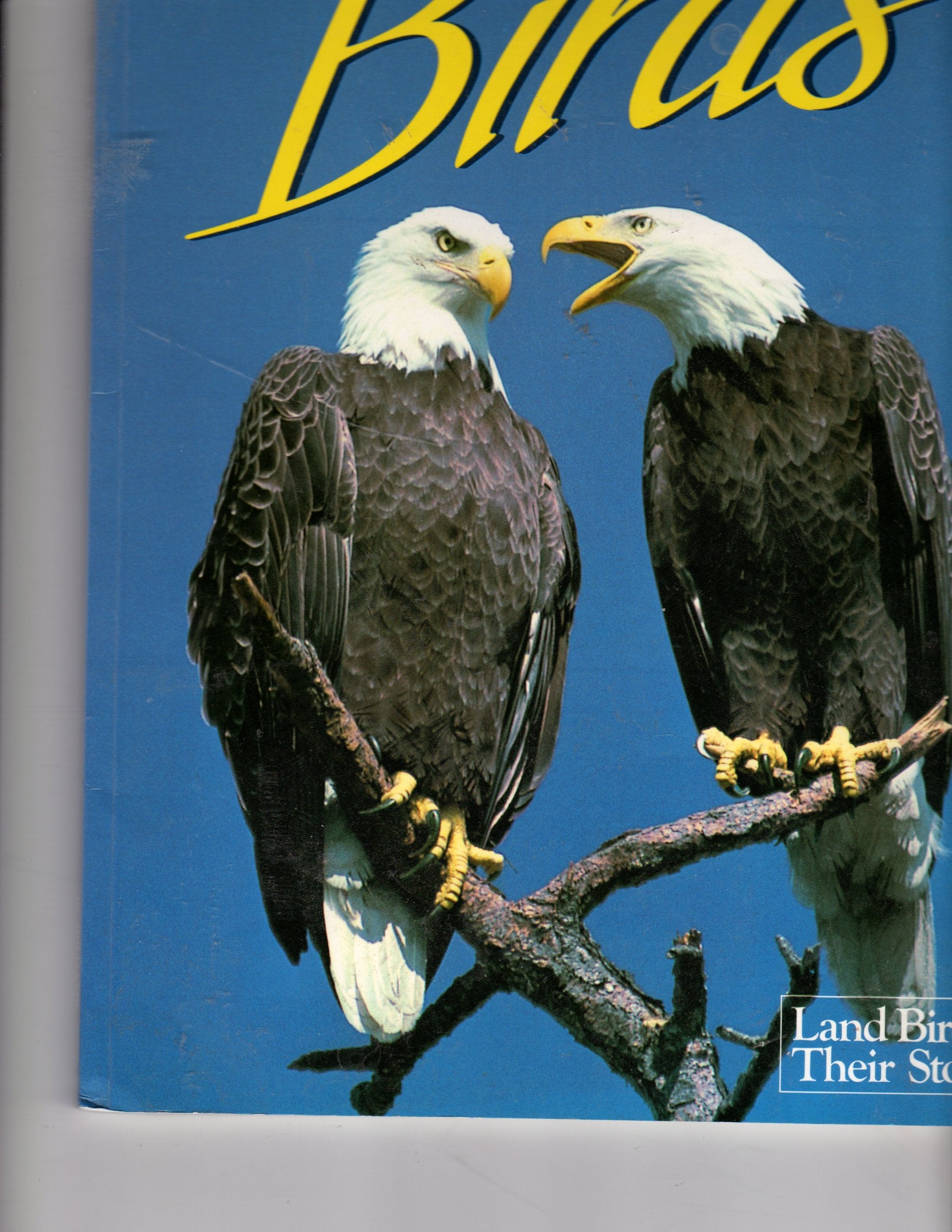 Florida's Fabulous Birds: Land Birds: Their Stories,Used