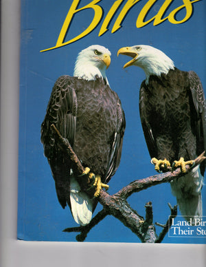 Florida's Fabulous Birds: Land Birds: Their Stories,Used