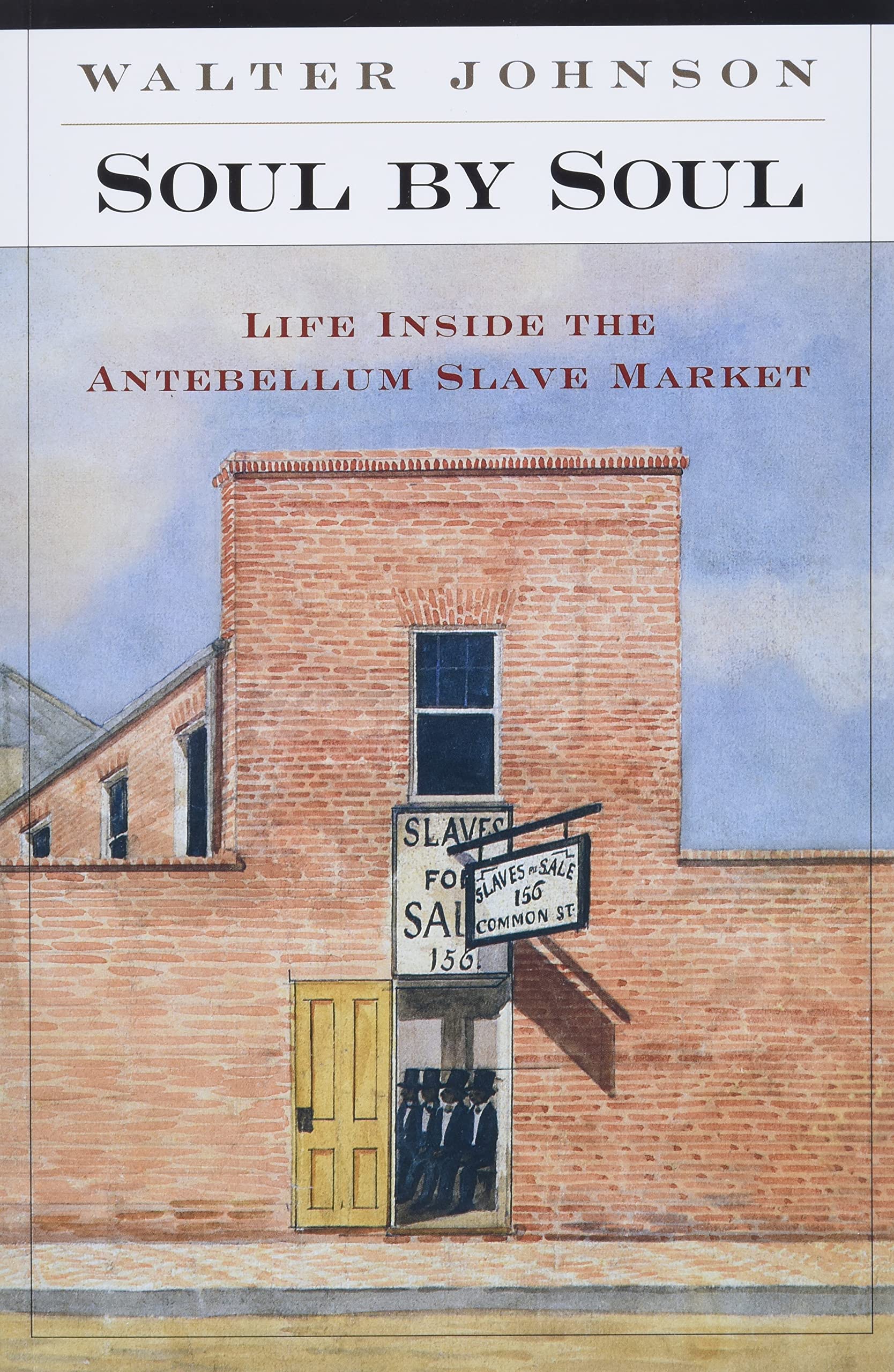 Soul By Soul: Life Inside The Antebellum Slave Market,New