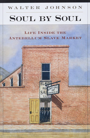 Soul by Soul: Life Inside the Antebellum Slave Market,Used