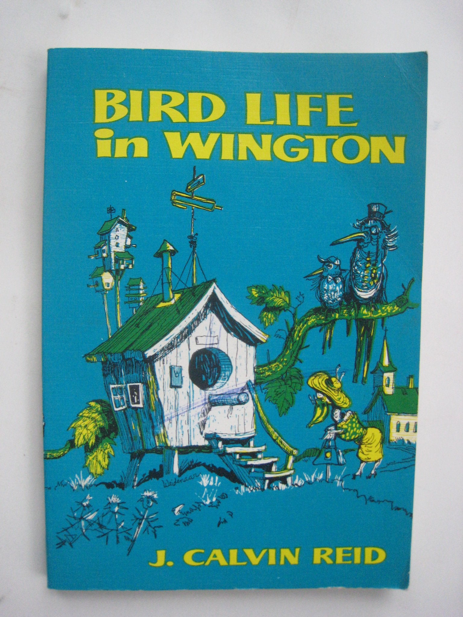 Bird Life in Wington: Practical Parables for Young People,Used