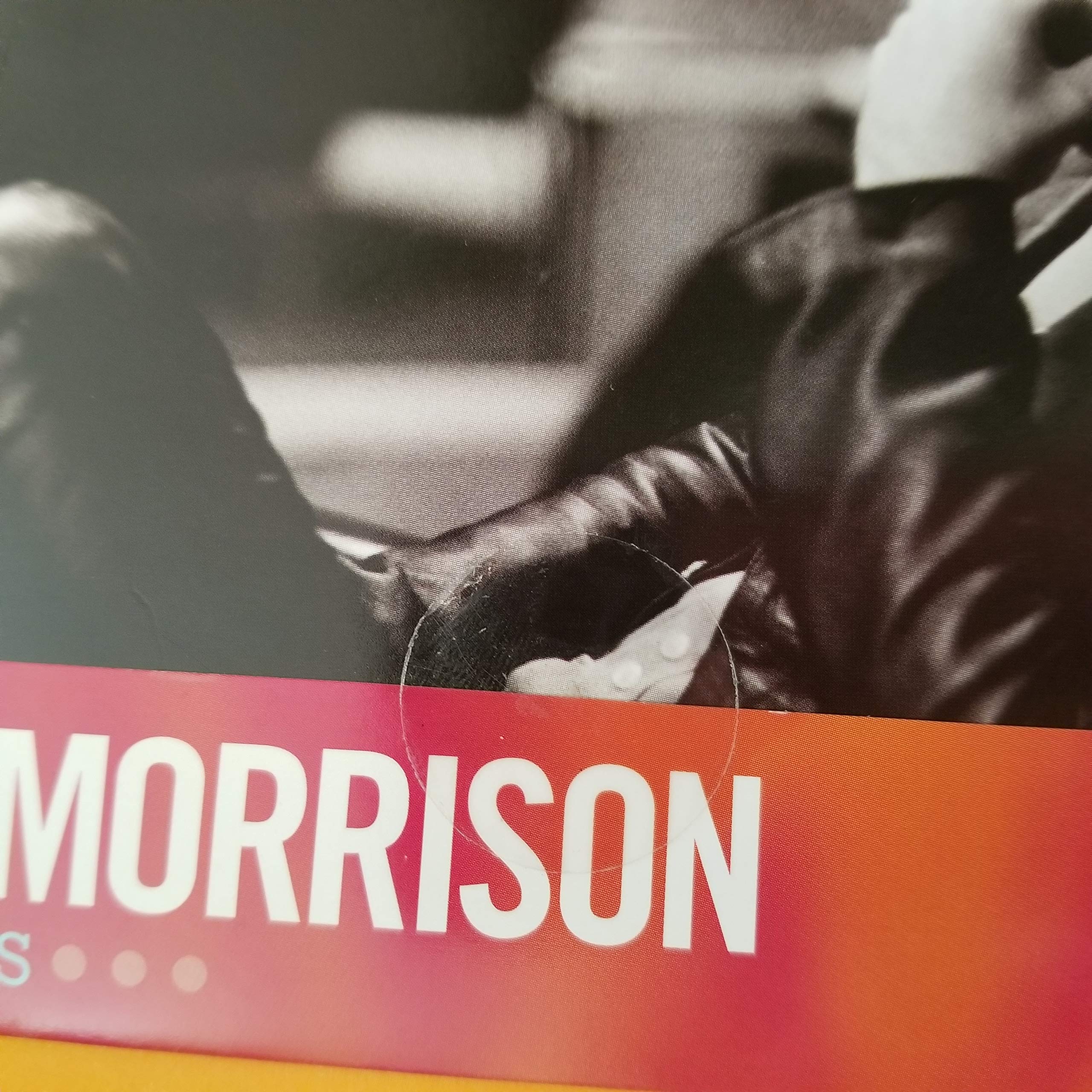The Jim Morrison Scrapbook,New