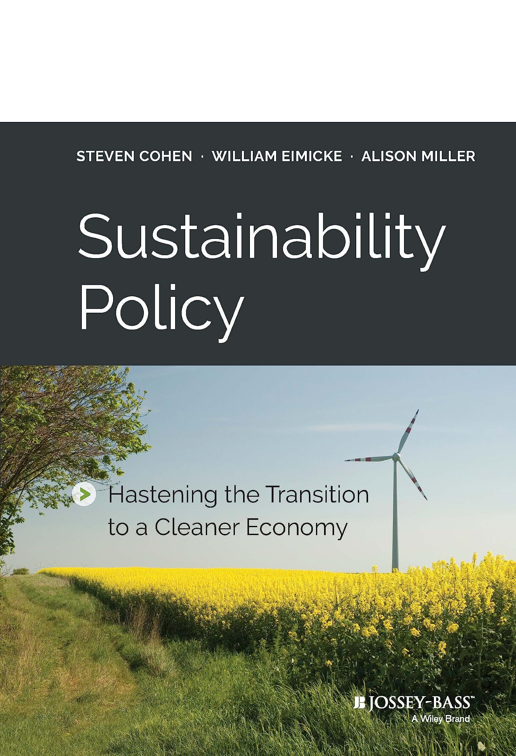 Sustainability Policy: Hastening the Transition to a Cleaner Economy,Used